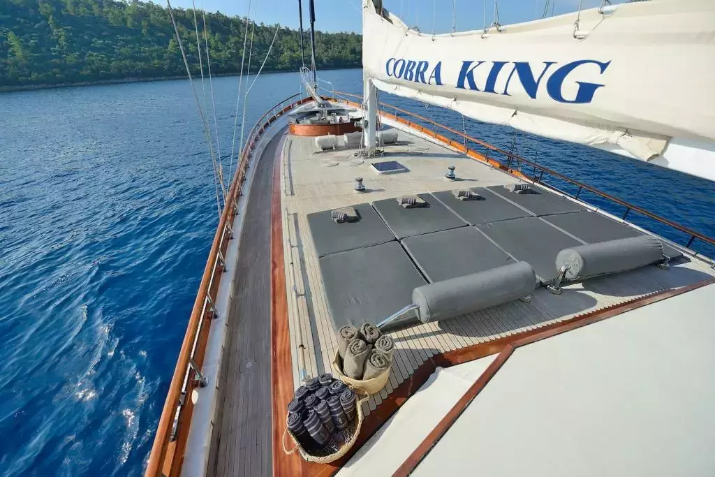Cobra King by Cobra Yacht - Top rates for a Charter of a private Motor Sailer in Turkey