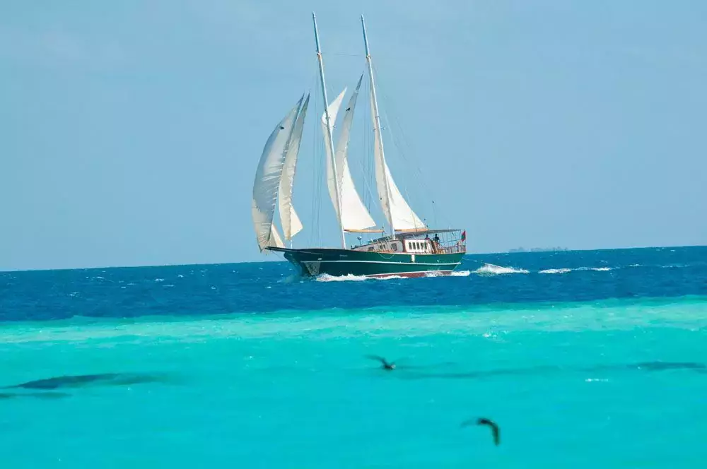 Dream Voyager by Custom Made - Top rates for a Charter of a private Motor Sailer in Seychelles
