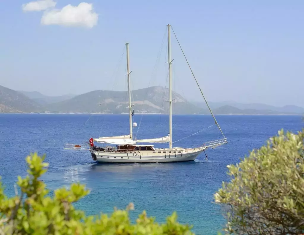 Cobra III by Cobra Yacht - Top rates for a Rental of a private Motor Sailer in Greece